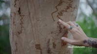 Back To Nature S01E07 XviD-AFG EZTV