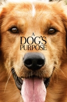 A Dogs Purpose 2017 720p BrRip x265 HEVCBay A Dogs Purpose 2017 720p BrRip x265 HEVCBay