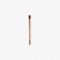 Rammstein - RAMMSTEIN (2019) [320 KBPS]