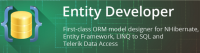 Devart Entity Developer Professional v6.6.894 + Crack [FTUApps]