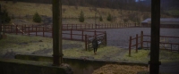 Bride of Scarecrow (2019) [BluRay] [720p] [YTS] [YIFY]