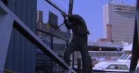 The Protector (1985) [BluRay] [1080p] [YTS] [YIFY]
