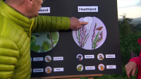 Springwatch S19E11 XviD-AFG EZTV Springwatch S19E11 XviD-AFG EZTV