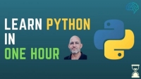 [ FreeCourseWeb ] Learn Python in One Hour Video Course