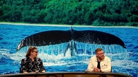 QI S20E10 Telling Tails EXTENDED XviD-AFG EZTV QI S20E10 Telling Tails EXTENDED XviD-AFG EZTV