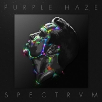 Purple Haze - SPECTRVM (Trance) (2017) [FLAC] [DJ]