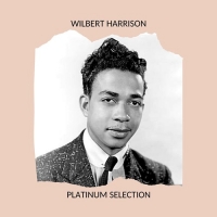 Wilbert Harrison - Wilbert Harrison - Plarinum Selection (2020) Mp3 320kbps [PMEDIA] ️