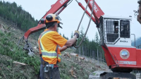 Timber Titans S01E02 XviD-AFG EZTV