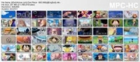 [60mbAnime] One Piece - 883 [480p][EngSub]