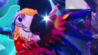 The Masked Singer S09E13 XviD-AFG EZTV The Masked Singer S09E13 XviD-AFG EZTV