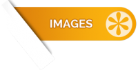 Windows 10 Codec Pack 2.1.5 - DailyApp