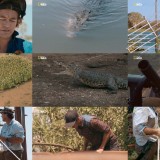 Monster Croc Wrangler S03E06 HDTV x264-CBFM