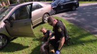 Cops S35E28 720p HEVC x265-MeGusta EZTV
