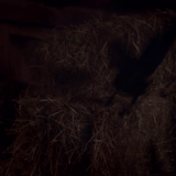 Dead Souls 2012 BRRip XviD MP3-XVID Dead Souls 2012 BRRip XviD MP3-XVID