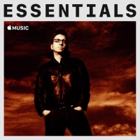 Richard Hawley - Essentials (2020) Mp3 320kbps [PMEDIA] ️