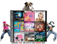 MutzNutz Music Pack 368 2020 - [ ANT ]