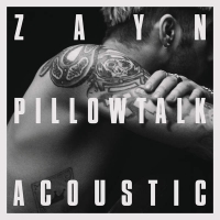 ZAYN - PILLOWTALK (The Living Room Session) [iTunes Rip][SINGLE][GLODLS]