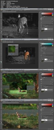 [ FreeCourseWeb ] Skillshare - Learning Adobe Photoshop for Beginners