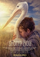 Storm Boy 2019 BDRip XviD AC3-EVO