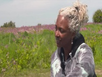 Springwatch S17E11 480p x264-mSD EZTV