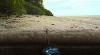 Turtle Odyssey (2019) [BluRay] [720p] [YTS] [YIFY]