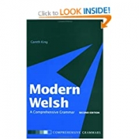 Modern Welsh a Comprehensive Grammar-h33t-Bitfastertorrent