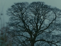 Wuthering Heights (2011) [BluRay] [720p] [YTS] [YIFY]