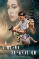 A Violent Separation 2019 DVDRip x264-WiDE[TGx]