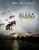 Black Swarm 2007 STV DVDRiP XviD-DvF
