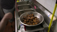 Kitchen Commando S01E07 720p WEB h264-DiRT EZTV