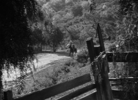 The Lonely Trail (1936) [BluRay] [720p] [YTS] [YIFY]