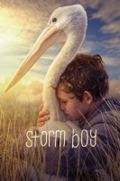 Storm Boy 2019 720p BluRay 800MB x264-GalaxyRG
