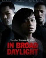 In Broad Daylight 2019 HDTV x264-CRiMSON