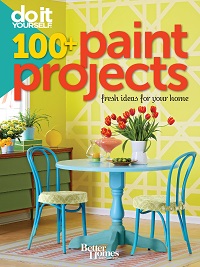 Do It Yourself - 100+ Paint Projects