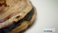 MasterChef Australia S13E56 XviD-AFG EZTV