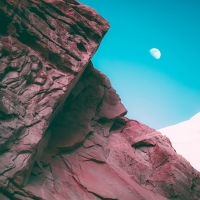 Bonobo - Linked (2019 - Single) [FLAC]