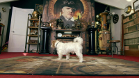 Taskmaster S12E06 1080p WEB h264-EDITH EZTV Taskmaster S12E06 1080p WEB h264-EDITH EZTV