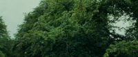 Wild Rose (2018) [BluRay] [1080p] [YTS] [YIFY]