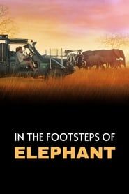 In The Footsteps Of Elephant 2020 WEB H 264-BabyTorrent