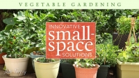 Vegetable Gardening: Innovative Small-Space Solutions