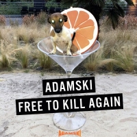 Adamski - Free to Kill Again (2020) [FLAC] [DJ]