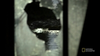 Port Protection S02E06 720p HDTV x264-CURIOSITY EZTV