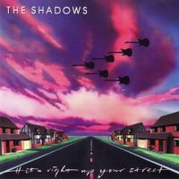 The Shadows - Hits Right Up Your Street - [FLAC]-[TFM]