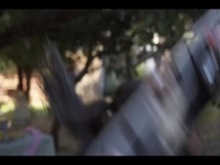 Surviving Summer S01E08 480p x264-mSD EZTV