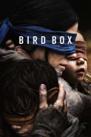 Bird Box 2018 HDRip XviD AC3-EVO[TGx]