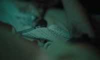 Feral 2020 HDRip XviD AC3 LLG