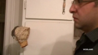 Intervention S08E16 PROPER HDTV x264-W4F[eztv]