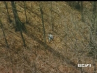 Forensic Files S05E03 DSR x264-REGRET [eztv]