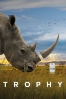 Trophy 2017 720p WEBRip 800MB x264-GalaxyRG