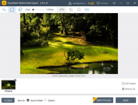 EasePaint Watermark Expert 2.0.4.0 + Loader [FTUApps]